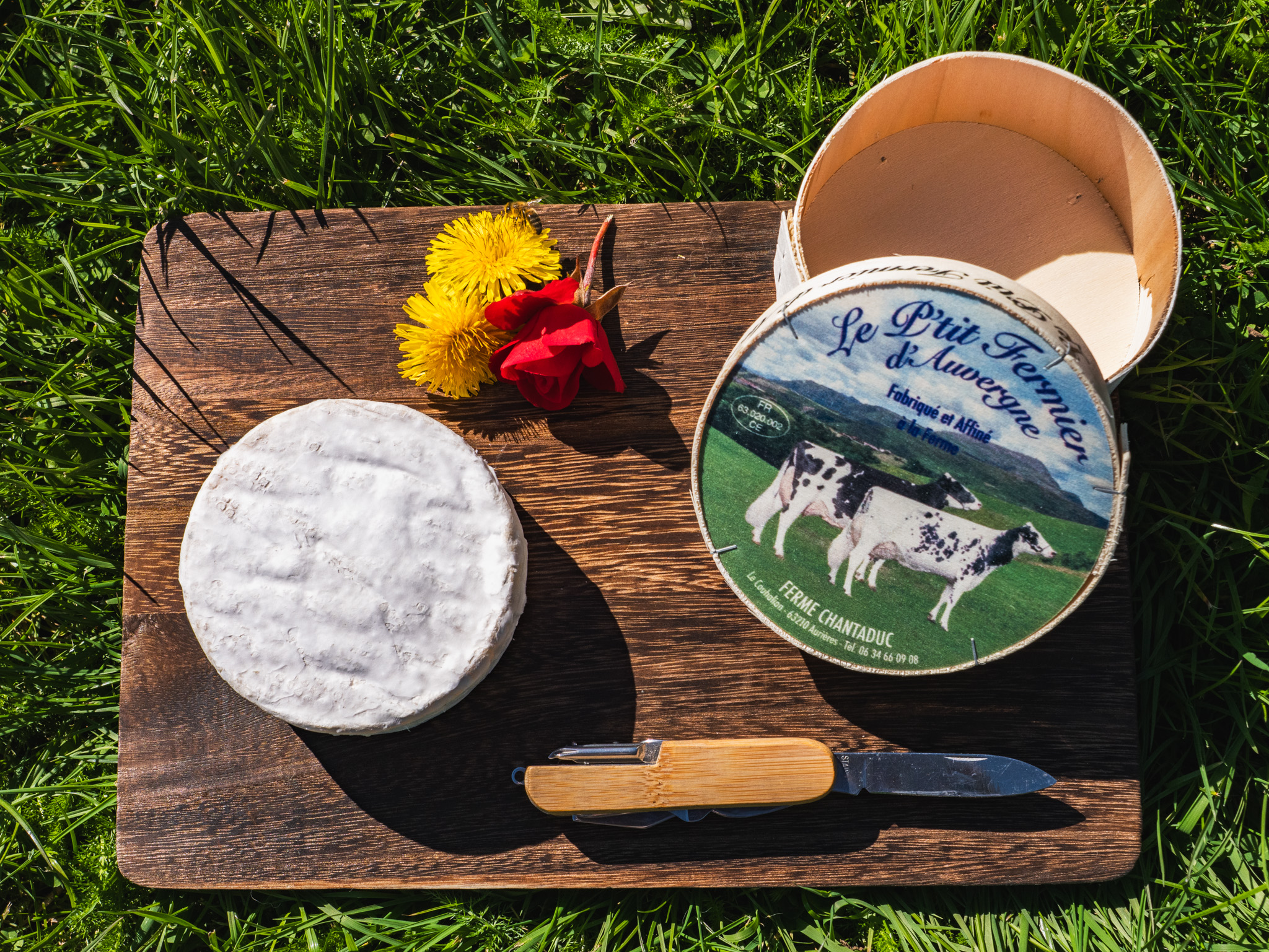Fromage à pâte molle et croûte fleurie 